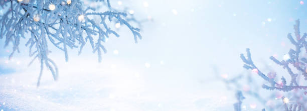 Winter Landscape with Snowflakes and Bright Bokeh