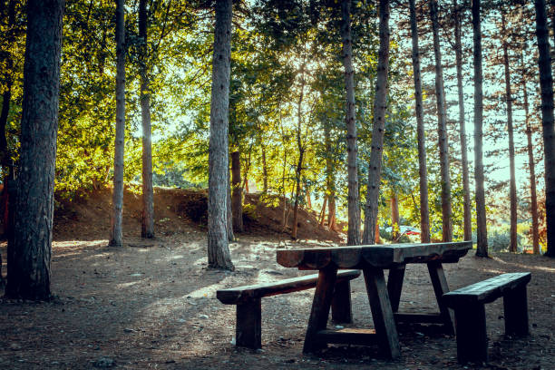 istock Empty wooden bench in the park. 1355509003