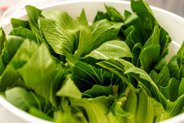 Vegetable Kohlrabi Green Food Background