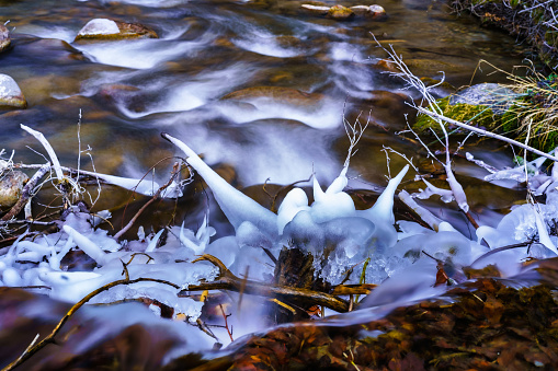 Ice Formations Along Creek