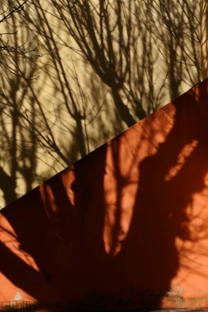 istock Shadows on a wall, Saorge, Alpes-Maritimes 1355512899