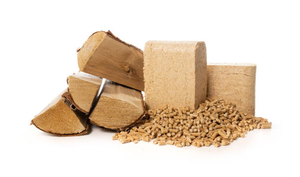 biomass heating - wood pellets, briquettes and firewood on white background stock photo