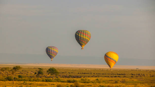 istock Hot air balloon ride in Masai Mara 1355517770