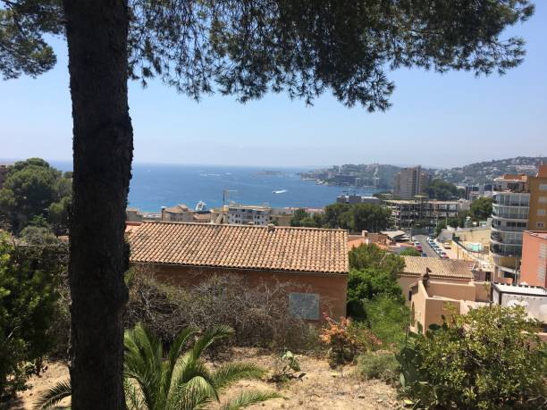 istock Mallorca Old Town Images 1355517823