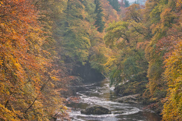 Autumn at the Pass of Killiecrankie, Perthshire