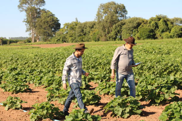 istock use of technology in sustainable agriculture 1355522619