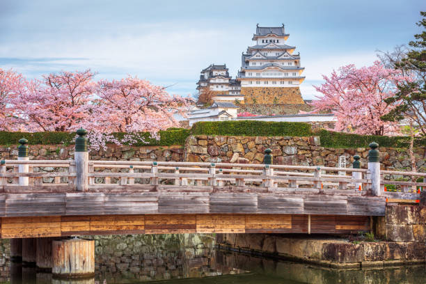 Himeji, Japan at Himeji Castle during Spring Cherry Blossom Season Himeji, Japan - April 10, 2017: Himeji Castle and bridge over the moat during spring cherry blossom season. The castle dates from the year 1333 and is  regarded as one of the finest surviving examples of Japanese architecture. keep fortified tower photos stock pictures, royalty-free photos & images