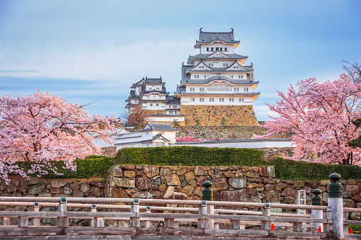 Himeji, Japan - April 10, 2017: Himeji Castle and bridge over the moat during spring cherry blossom season season. The castle dates from the year 1333 and is regarded as one of the finest surviving examples of Japanese architecture.