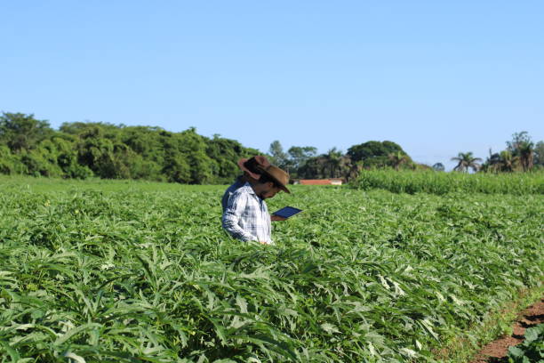 istock use of technology in sustainable agriculture 1355523397