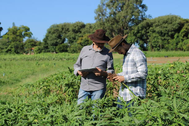 istock use of technology in sustainable agriculture 1355523479