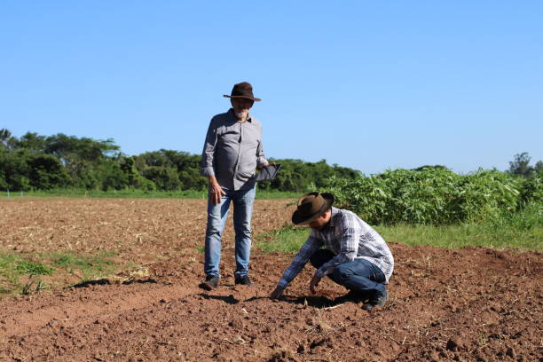 istock use of technology in sustainable agriculture 1355523568