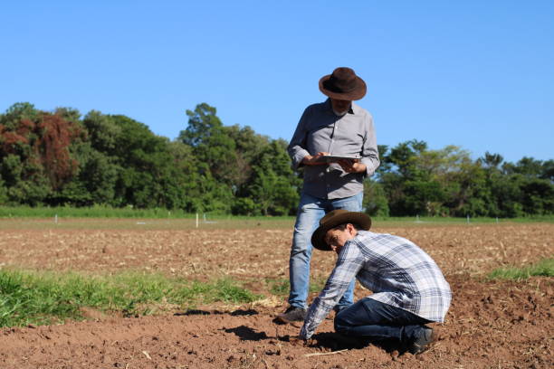 istock use of technology in sustainable agriculture 1355523624