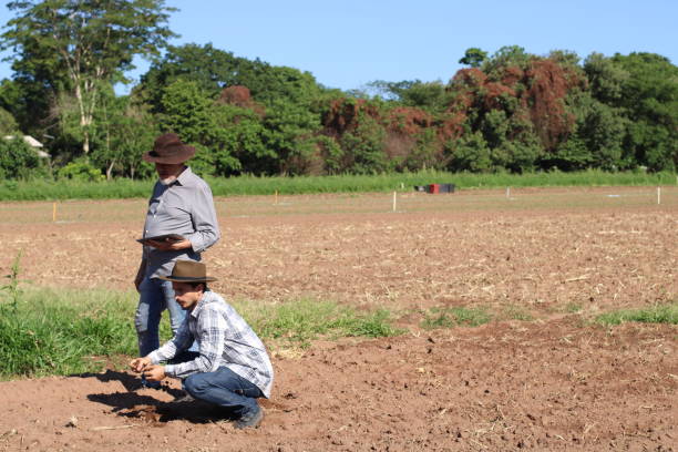 istock use of technology in sustainable agriculture 1355523633