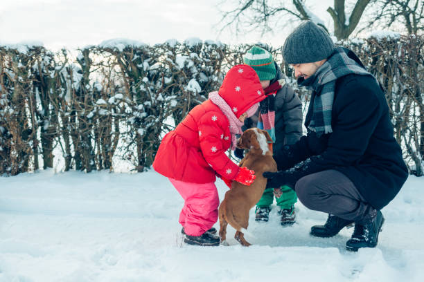 istock Family With Dog Having Fun 1355524346