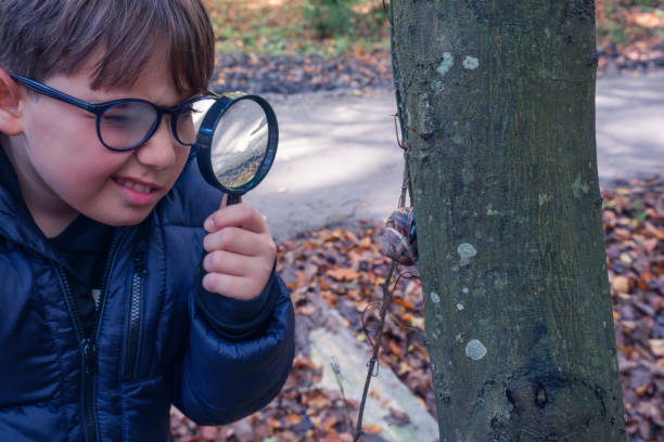 istock A little Caucasian boy examines a snail  with a magnifying glass 1355527348