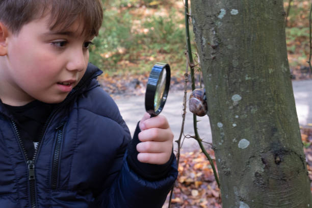 istock A little Caucasian boy examines a snail  with a magnifying glass 1355527534