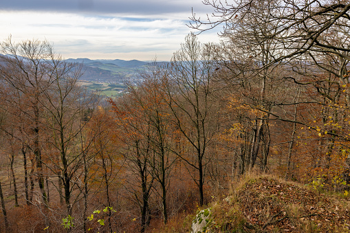 Aerial view from Hill with autumn woodscape near Brilon in German Sauerland