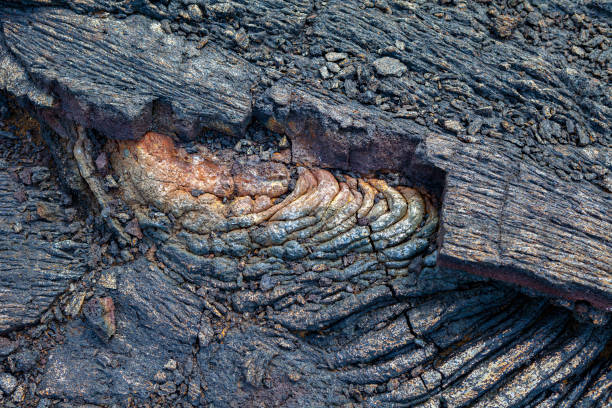 istock Kilauea's ancient lava flows, lava ropes (Pahoehoe) with vivid colors 1355533665