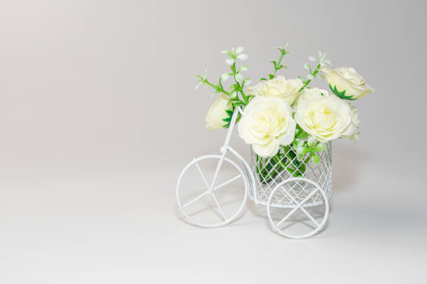 white flowers in a bicycle basket on a white background. High quality photo