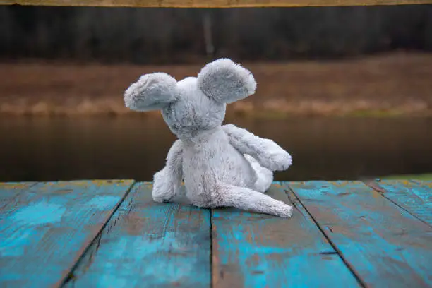 A soft toy mouse sits with its back to the camera against a blurred late-autumn landscape.
