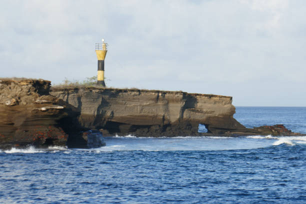 istock Puerto Egas, Santiago, Galapagos Islands 1355543459