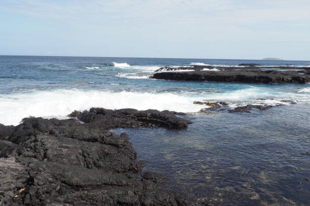 istock Puerto Egas, Santiago, Galapagos Islands 1355543577