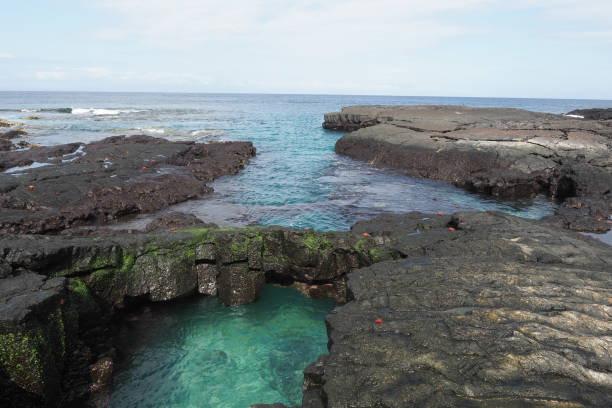 istock Puerto Egas, Santiago, Galapagos Islands, Part 2 1355544942