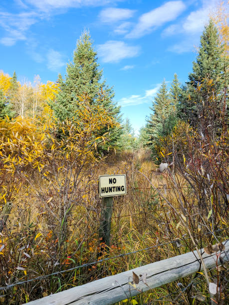 istock Hidden and Weathered No Hunting Sign 1355545763