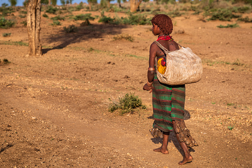 African young pregnant woman from Hamer tribe carrying water to the village. African women and children often walk long distances to bring back jugs of water that they carry on their back.