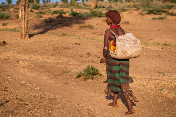 African young woman carrying water from the well, Ethiopia, Africa African young pregnant woman from Hamer tribe carrying water to the village. African women and children often walk long distances to bring back jugs of water that they carry on their back. hamer tribe photos stock pictures, royalty-free photos & images