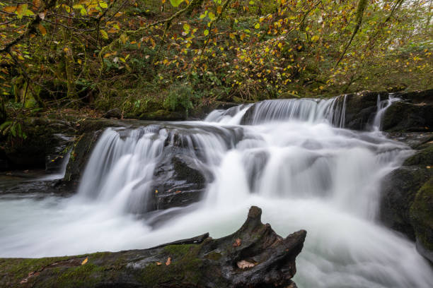 istock Watersmeet in Exmoor national park 1355547998