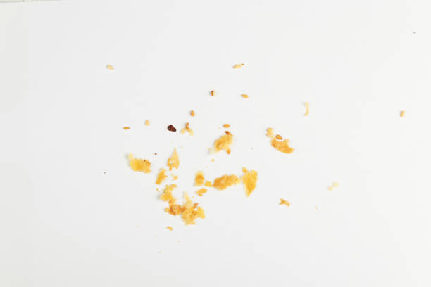 istock Scattered crumbs isolated on white background 1355548781