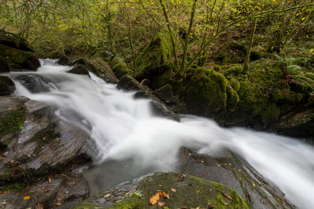 istock Watersmeet in Exmoor national park 1355548791