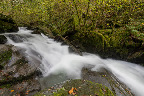istock Watersmeet in Exmoor national park 1355548824