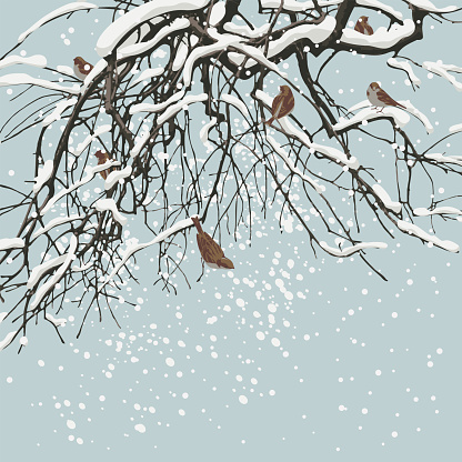 Beautiful winter landscape with snow-covered tree branches and small birds against a gray sky. Snowy vector illustration with a flock of cheerful sparrows jumping on branches