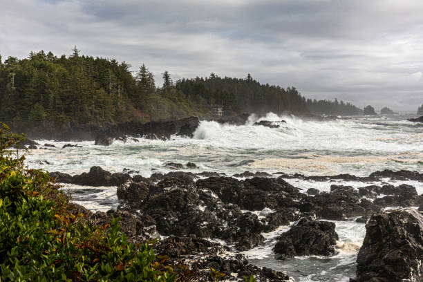 istock Strong waves breacking on the rugged west coast of Vancouver Island viewed from Amphitrite Point  on the Wild Pacific Trail, Ucluelet, British Columbia, Canada. 1355552313