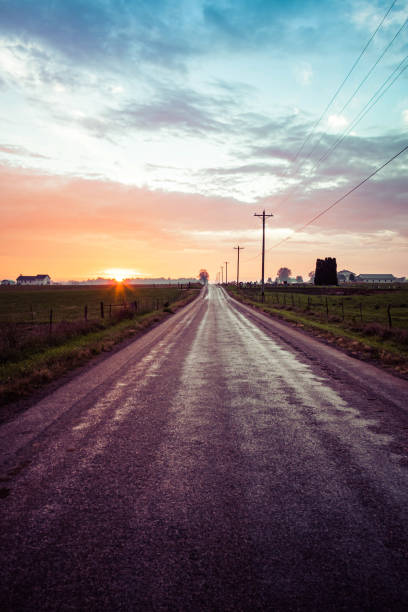 A country road with farmland on each side heading west into the sunset stock photo