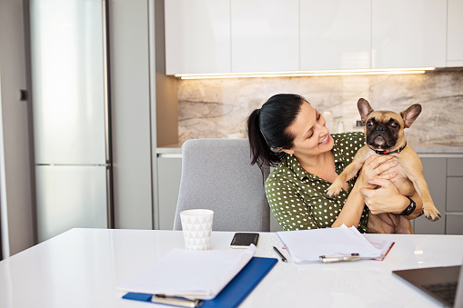 Woman working from home, holding her French bulldog in the lap