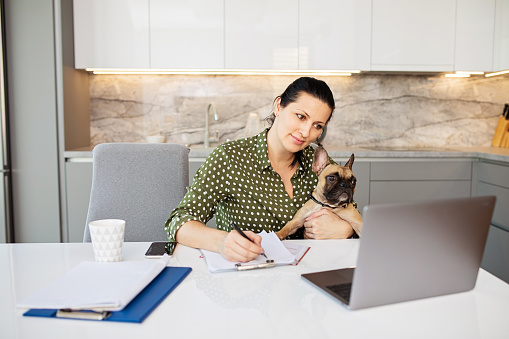 Woman working from home, holding her French bulldog in the lap