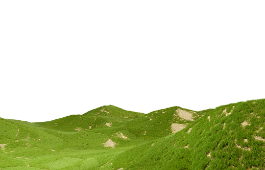 Field of green grass, 3d render. Landscape with a hill isolated on a white background. The texture of green lawn grass