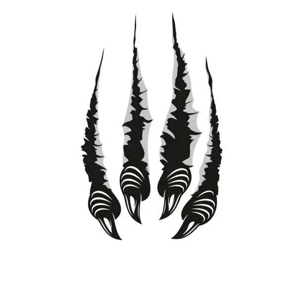 Vector illustration of Monster claw marks, scratches of dragon fingers