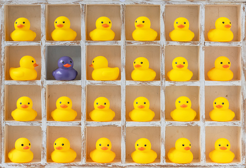 Small yellow rubber ducks in pigeon holes, one purple duck.