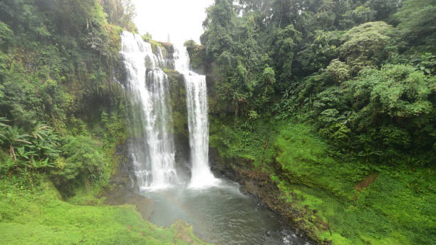 istock Beautiful landscape of waterfall in forest 1355584803