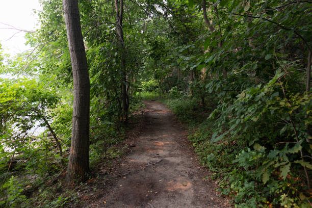 istock Empty Forest Hiking Trail at Little Stony Point in Cold Spring New York with Green Trees 1355587931