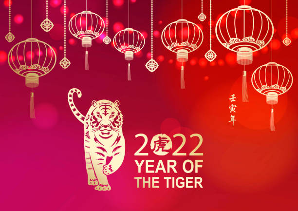 Celebrate the Year of the Tiger 2022 with lights and gold colored Chinese lanterns and tiger on the red background, the Chinese stamp means tiger and the vertical Chinese phrase means Year of the Tiger according to lunar calendar system