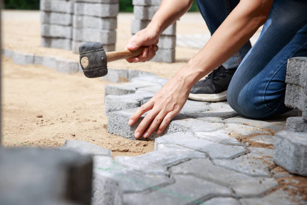 hand of professional paver worker lays paving stones in layers for pathway - 3148 imagens e fotografias de stock