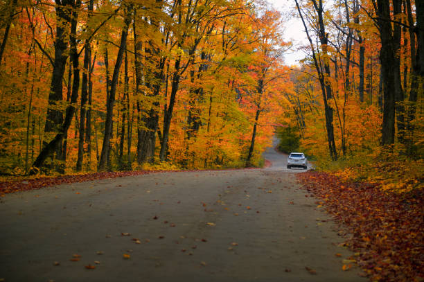 istock White SUV driving through a scenic autumn landscape 1355593921