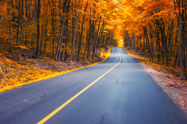Winding road curves through scenic autumn foliage trees in Muskoka, Ontario Canada.
