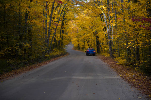 istock Blue SUV driving through a scenic autumn landscape 1355594012