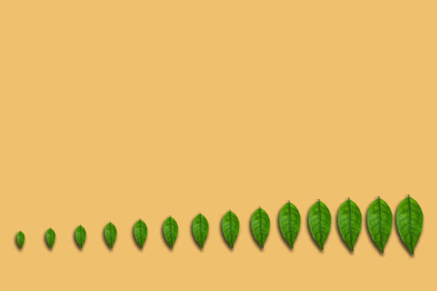 Green finance longterm investment growth strategy